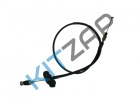 ���� ����