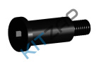���� �������