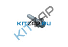 ���� ������ ������ ��������